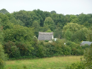 A thatched cottage in Haddiscoe.