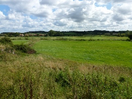 Countryside near Wiveton.