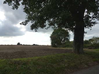 Countryside in Bedingham Parish