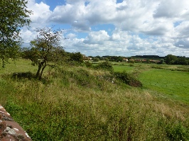 Fields near Wiveton Church.